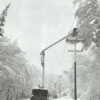 	 Man in crane bucket trimming snow covered branches around a telephone poll. Lots of snow on ground and road. Other trucks, cranes, and workers further down the road.