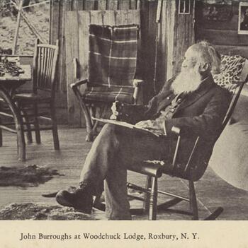 John Burroughs Postcard Collection
